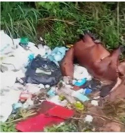 Taxa do lixo: para o cidadão, a conta; para a Zona Rural, o abandono